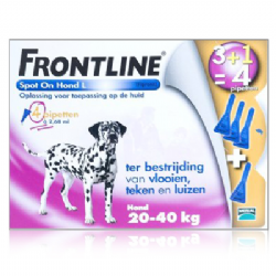 Frontline Spot-On Hond L 20-40 KG 4 pipetten